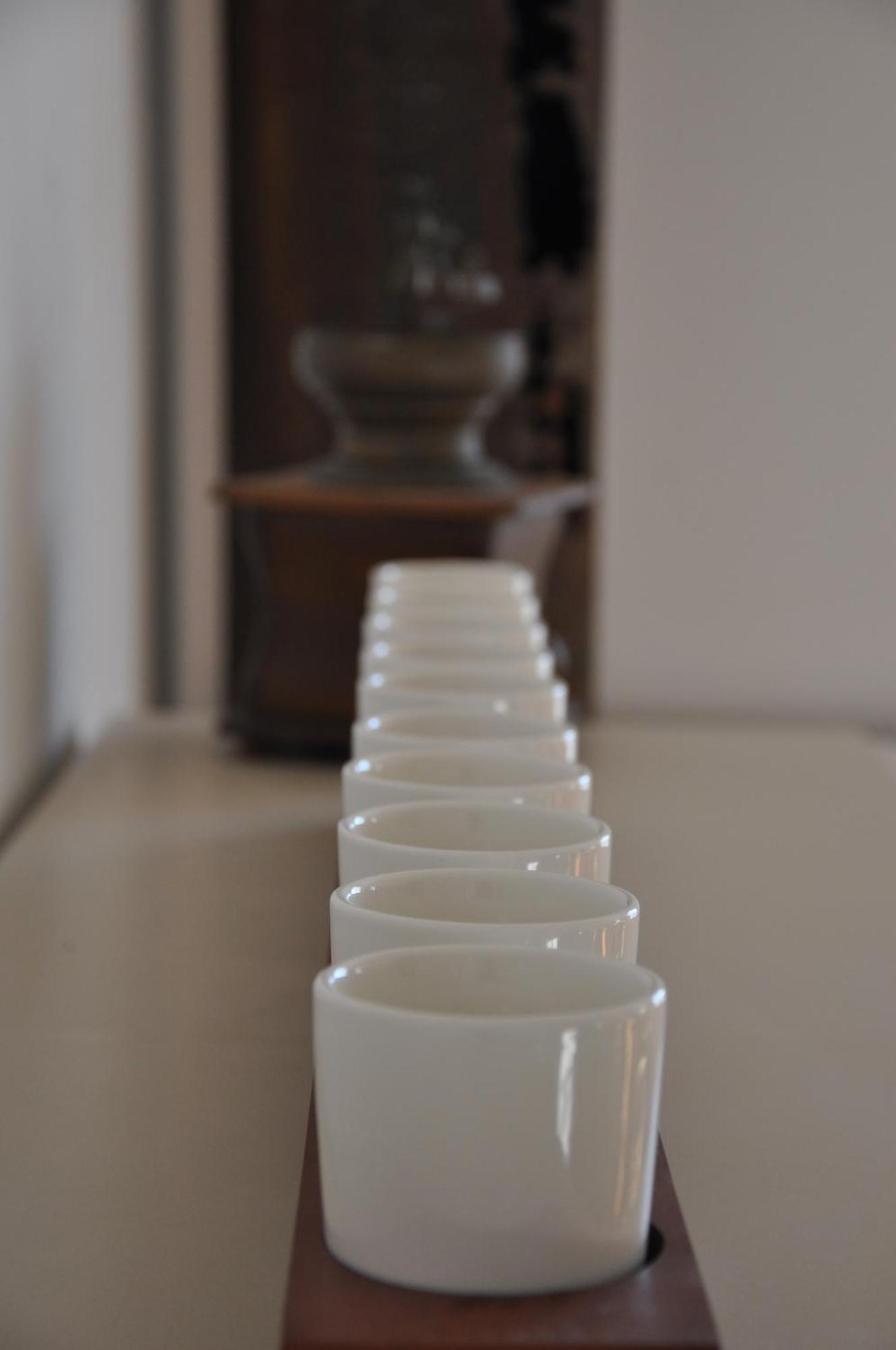 La Fille Du Berger Bed & Breakfast Puissalicon Ngoại thất bức ảnh